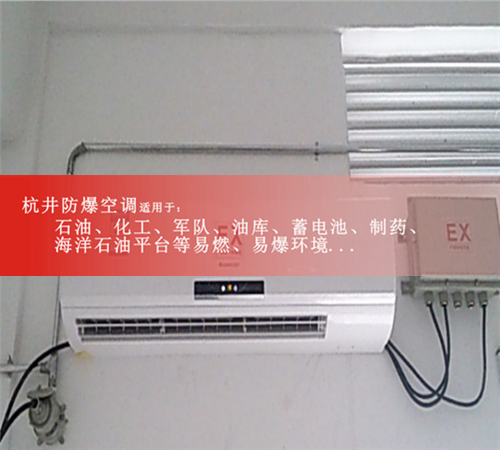 化工冶煉車間防爆空調(diào)機案例圖