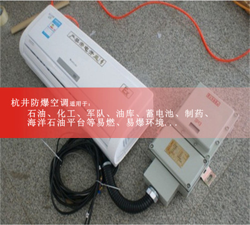 發(fā)電廠防爆空調(diào)機(jī)案例圖
