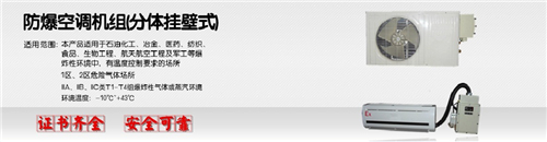 杭井牌的防爆空調(diào),格力防爆空調(diào)圖片