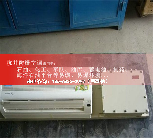發(fā)電廠防爆空調(diào)機(jī)案例圖