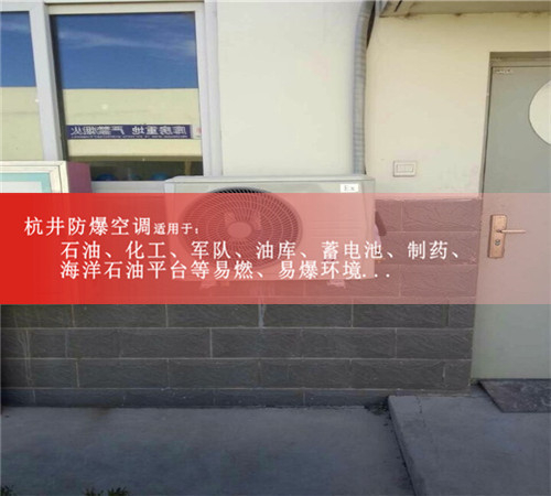 防爆空調(diào)柜式10匹BLF-28案例圖